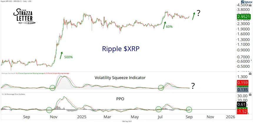 xrp 